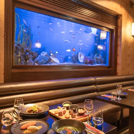 리조트 Balmy Foresta 5*
