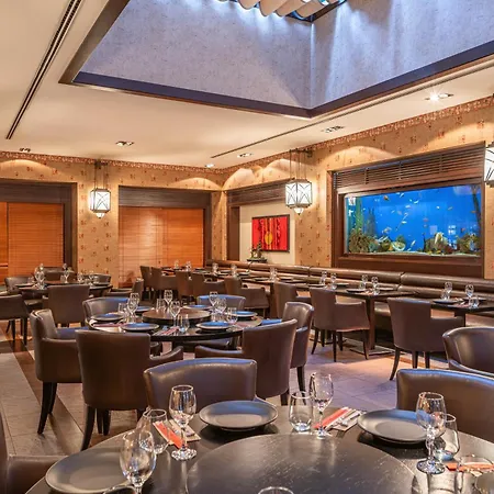 리조트 Balmy Foresta 5*